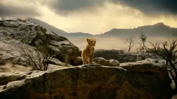 Задник к фильму "Муфаса: Король Лев" #448792