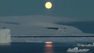 Задник к фильму "Antarctica: A Frozen History" #1144644