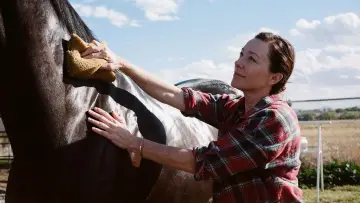 Задник к фильму "Жокей" #1854148