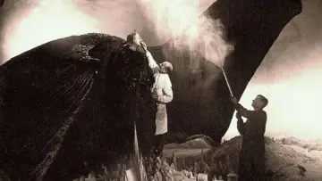 Задник к фильму "Die Sprache der Schatten: Das Meisterstück: Faust" #1149488