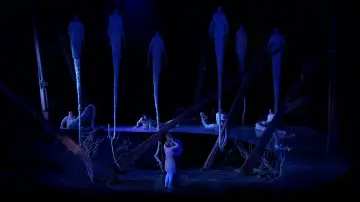 Задник к фильму "Dvořák:  Rusalka" #1250724