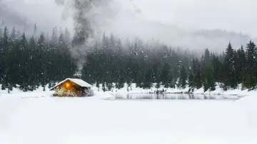 Задник к фильму "Последние выжившие" #1026579