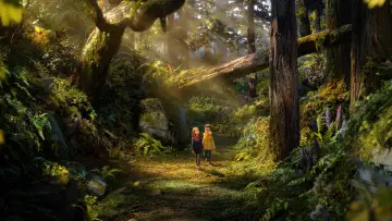 Задник к фильму "Ведьмин лес" #1160062