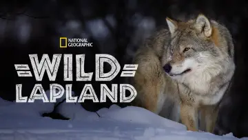 Задник к фильму "Wild Lapland" #1658245