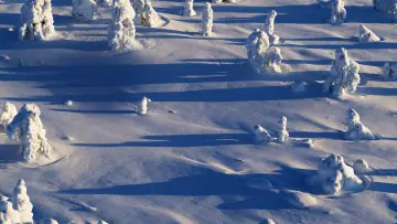 Задник к фильму "Wild Lapland" #1658249