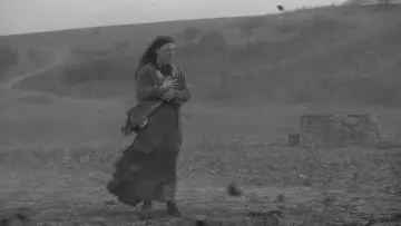 Задник к фильму "Туринская лошадь" #985216