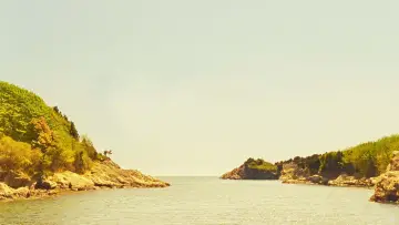 Задник к фильму "Королевство полной луны" #811348