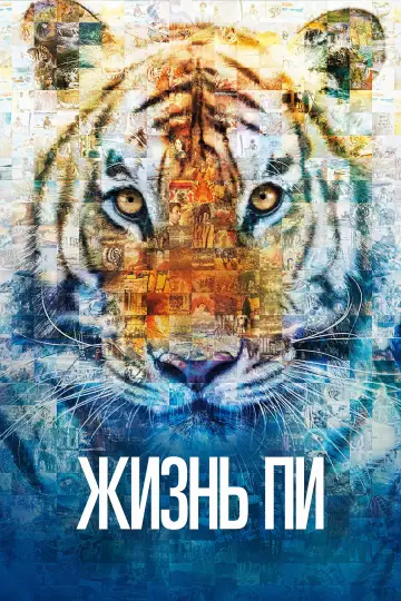Постер к фильму "Жизнь Пи" #1156140