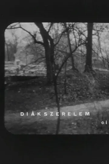 Постер к фильму "Diákszerelem" #1170611