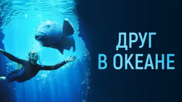 Задник к фильму "Друг в океане" #401991
