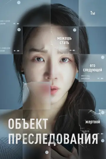 Постер к фильму "Объект преследования" #1021418