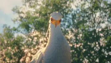 Задник к фильму "Поток" #586598