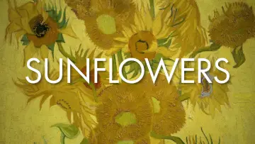 Задник к фильму "Sunflowers" #719692