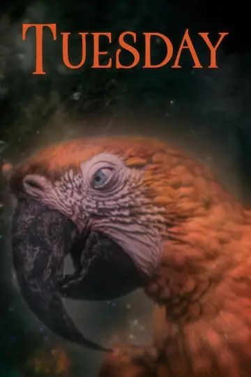 Постер к фильму "Тьюздей" #532823