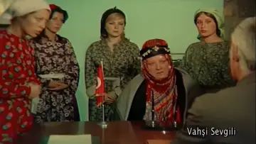 Задник к фильму "Vahşi Sevgili" #1173754