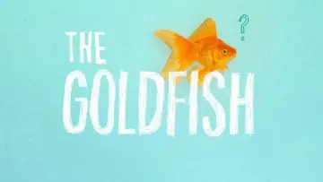 Задник к фильму "The Goldfish" #1573213