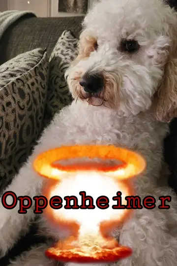 Постер к фильму "Оппенгеймер" #959212