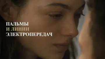 Задник к фильму "Пальмы и линии электропередач" #414883