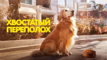 Задник к фильму "Хвостатый переполох" #756055
