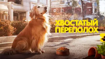 Задник к фильму "Хвостатый переполох" #756061