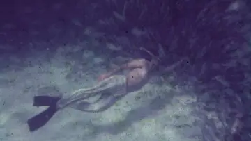 Задник к фильму "Saved From The Waters" #1432830