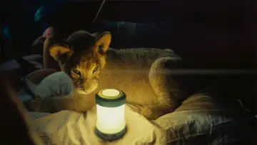 Задник к фильму "Король-львёнок" #336697