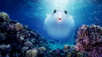 Видео к фильму Puff: Wonders of the Reef — Puff: Wonders of the Reef | Official Trailer | Netflix