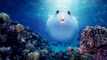 Задник к фильму "Puff: Wonders of the Reef" #423788