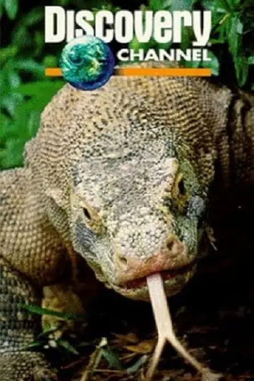 Постер к фильму "Dragons of Komodo" #1153497
