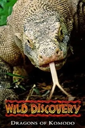 Постер к фильму "Dragons of Komodo" #1153498