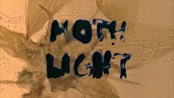 Задник к фильму "Mothlight" #1141172
