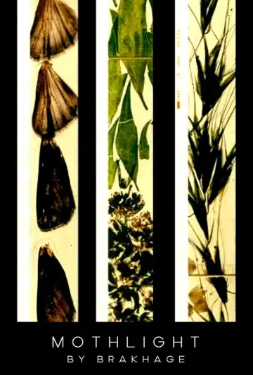 Постер к фильму "Mothlight" #703613
