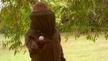 Задник к фильму "The Greenskeeper" #722790