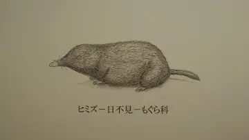 Задник к фильму "Химидзу" #951374