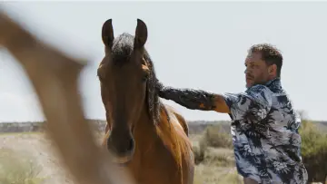 Задник к фильму "Веном: Последний танец" #554751