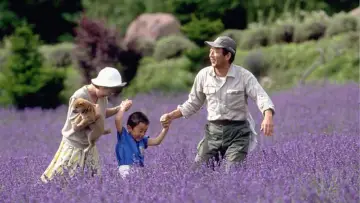 Задник к фильму "北の国か 