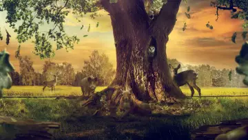 Задник к фильму "Le Chêne" #792500