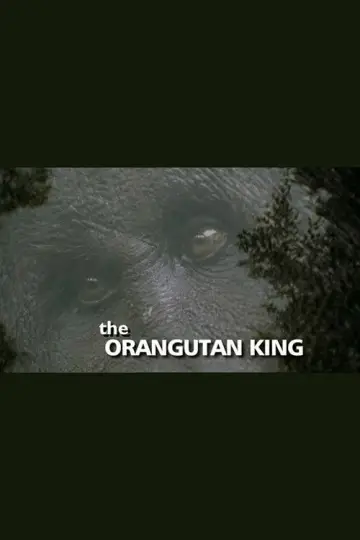 Постер к фильму "The Orangutan King" #1146838