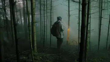 Задник к фильму "Тихий лес" #373124