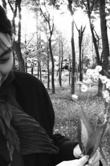 Постер к фильму "소설가의 영화" #459087