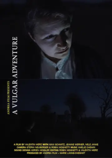 Ein Vulgäres Abenteuer постер