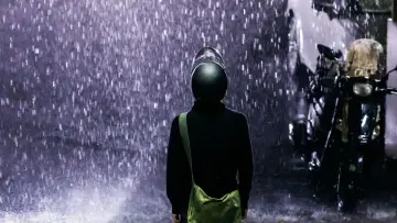 Задник к фильму "動物感傷の清晨" #328803