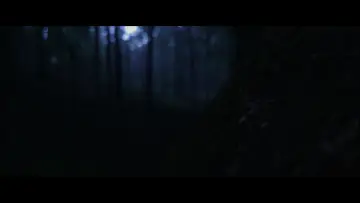 Задник к фильму "Birth" #1146691