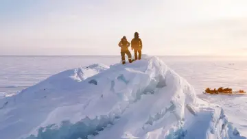 Задник к фильму "Bear Witness" #725169