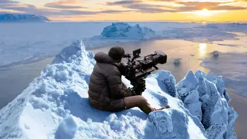 Задник к фильму "Bear Witness" #725170