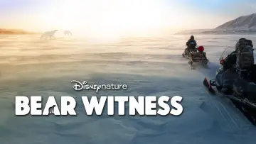 Задник к фильму "Bear Witness" #725172