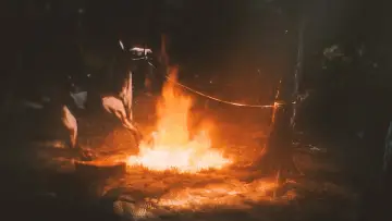 Задник к фильму "Garrano" #191432