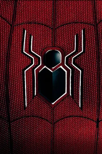 Постер к фильму "Spider-Man: All Roads Lead to No Way Home" #455194