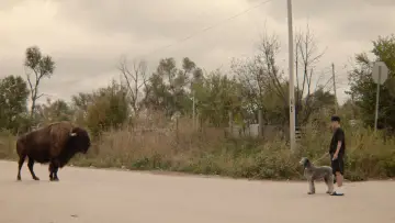 Задник к фильму "War Pony" #410662