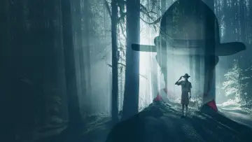 Задник к фильму "Leave No Trace" #1727255